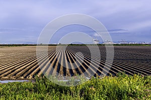 Furrows of the earth extending vertically into the distance on a spring field