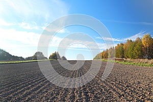 The furrows of the plowed field at the edge of the forest. Free soil for planting crops. Agricultural business. Technology v