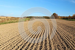 The furrows of the plowed field at the edge of the forest. Free soil for planting crops. Agricultural business. Technology v