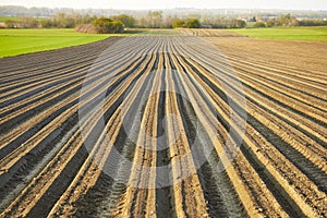 Furrows row pattern in a plowed field prepared for planting.