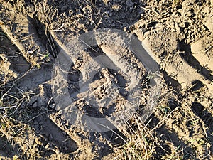 Furrows row in plowed drought field ground prepared for planting crops in meadow in spring. car tread marks, planting process,