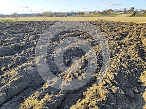 Furrows row in plowed field prepared for planting crops in meadow in spring. planting process, ploughed soil