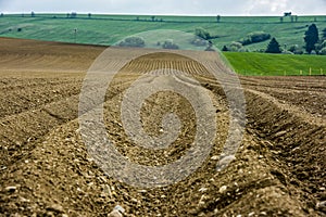 Furrows rows in a plowed field prepared for planting potatoes crops in spring.