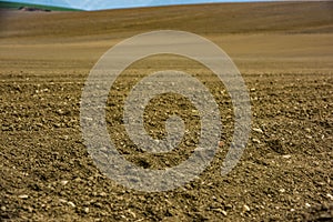 Furrows rows in a plowed field prepared for planting potatoes crops in spring.