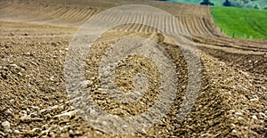 Furrows rows in a plowed field prepared for planting potatoes crops in spring.