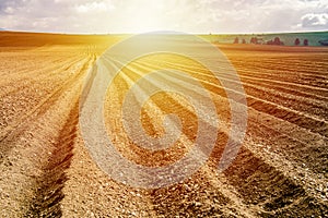 Furrows rows in a plowed field prepared for planting potatoes crops in spring.