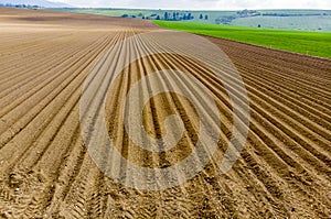 Furrows rows in a plowed field prepared for planting potatoes crops in spring.