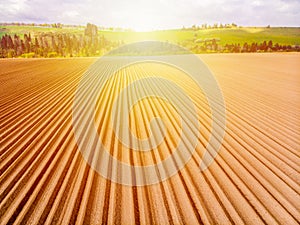 Furrows rows in a plowed field prepared for planting potatoes crops in spring.