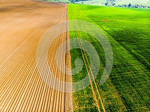 Furrows rows in a plowed field prepared for planting potatoes crops in spring.