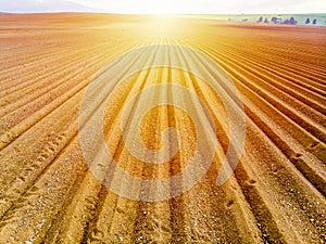 Furrows rows in a plowed field prepared for planting potatoes crops in spring.