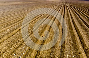 Furrows rows in a plowed field prepared for planting potatoes crops in spring.