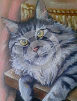 The furry cat Maine Coon lies on the table. Portrait of an oil painter
