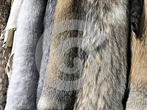 Furs and Skins