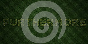 FURTHERMORE - fresh Grass letters with flowers and dandelions - 3D rendered royalty free stock image