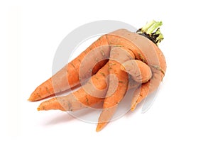 Fused orange carrot