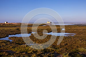 Fuseta marshlands low tide