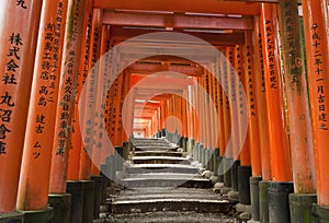 Fushimi Inari photo