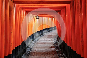 Fushimi Inari corridor