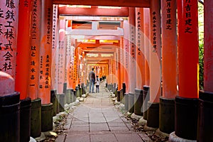 Fushimi inari in kyoto