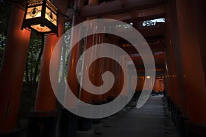 Fushimi Inari in Kyoto, Japan