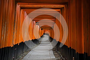 Fushimi Inari in Kyoto, Japan