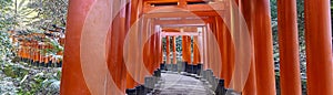 Fushimi inari pathway through thousand gates.