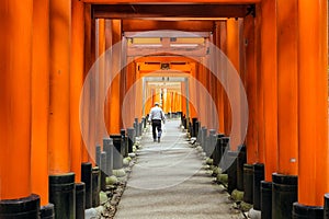 Fushimi-inari shrine in Japan