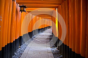 Fushimi Inari Shrine, Kyoto