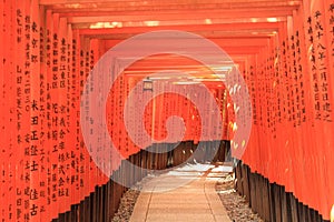 Fushimi-Inari Shrine photo
