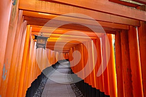 Fushimi Inari Shrine, Kyoto, Japan