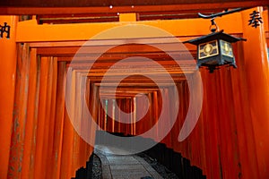 Fushimi inari shrine, Kyoto, Japan