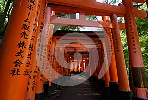 Fushimi Inari Shrine in Kyoto, Japan