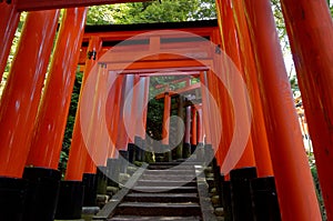 Fushimi Inari shrine, Kyoto Japan. photo