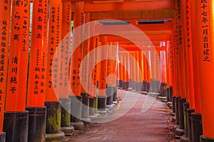 Fushimi Inari Shrine in Kyoto, Japan. photo