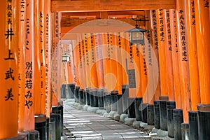 Fushimi Inari Shrine in Kyoto photo