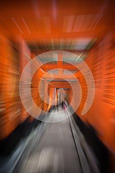 Fushimi Inari Shrine /kyoto with zoom effect