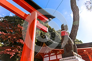 Fushimi Inari Shrine location for Senbon Torii thousands of torii gates Kyoto Osaka Japan