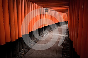 Fushimi Inari Shrine photo