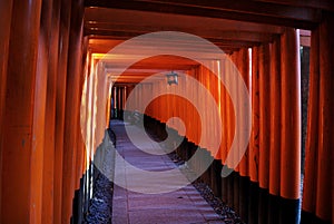 Fushimi Inari shrines, Kyoto, Japan photo