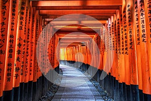 Fushimi inari taisha gates