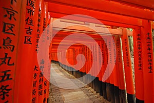 Fushimi Inari-taisha in Kyoto