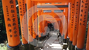 Fushimi Inari Taisha, Kyoto, Japan