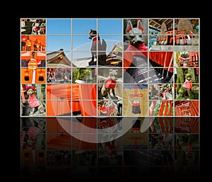 Fushimi Inari Taisha Shrine