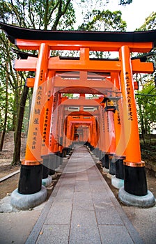 Fushimi Inari-taisha Shrine