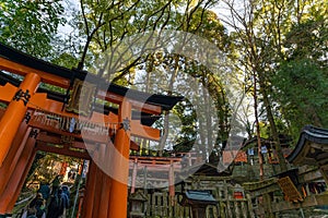 Fushimi Inari Taisha Shrine in Japan, adorned with vibrant red Tori gates photo