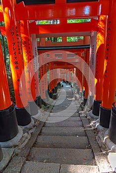 Fushimi Inari-taisha Shrine. Thousands countless vermilion Torii gates on a hill