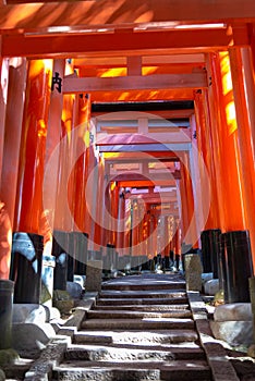 Fushimi Inari-taisha Shrine. Thousands countless vermilion Torii gates on a hill