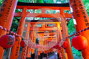 Fushimi Inari-taisha Shrine. Thousands countless vermilion Torii gates on a hill