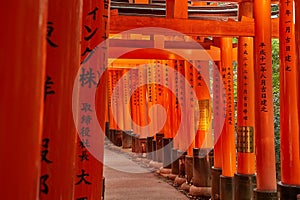 Fushimi Inari Taisha torii gates