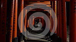 Fushimi Inari-taisha, Torii gates by night